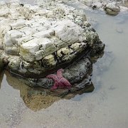 CoastCamp 127 : CoastCamp